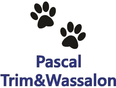 Pascal Trim & Wassalon